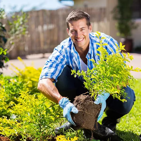 🔥Hot Sale🔥Soil Improvement Loosening Agent（50% OFF）