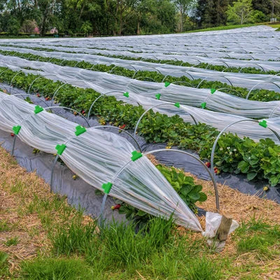 Heavy Duty Greenhouse Clamps