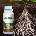 Plant Rooting & Seedling Strengthening Agent（50% OFF）