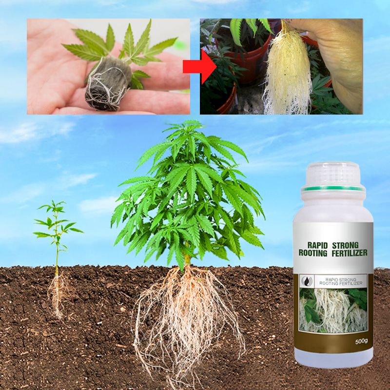 Plant Rooting & Seedling Strengthening Agent（50% OFF）