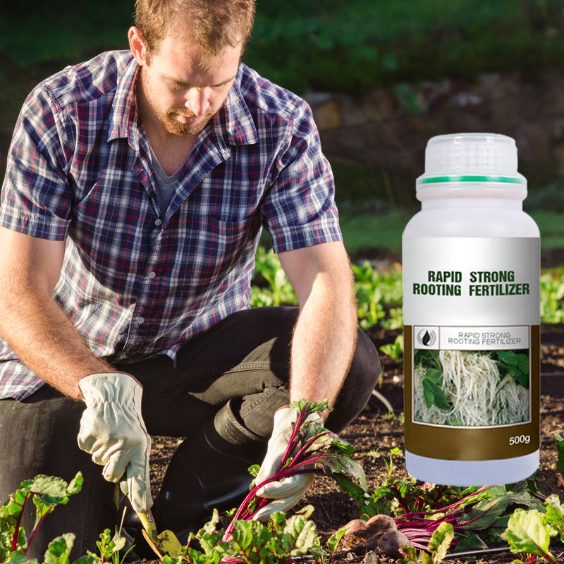 Plant Rooting & Seedling Strengthening Agent（50% OFF）