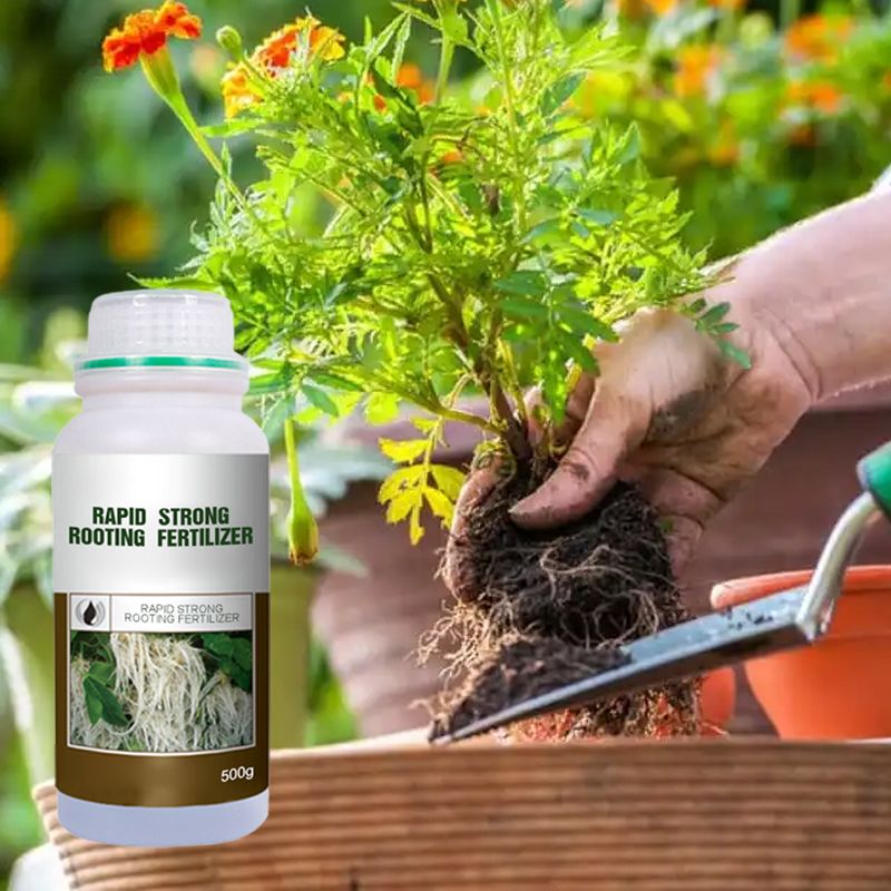 Plant Rooting & Seedling Strengthening Agent（50% OFF）