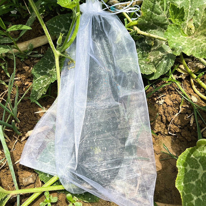 Protective Mesh Cover for Fruit Trees（50% OFF）