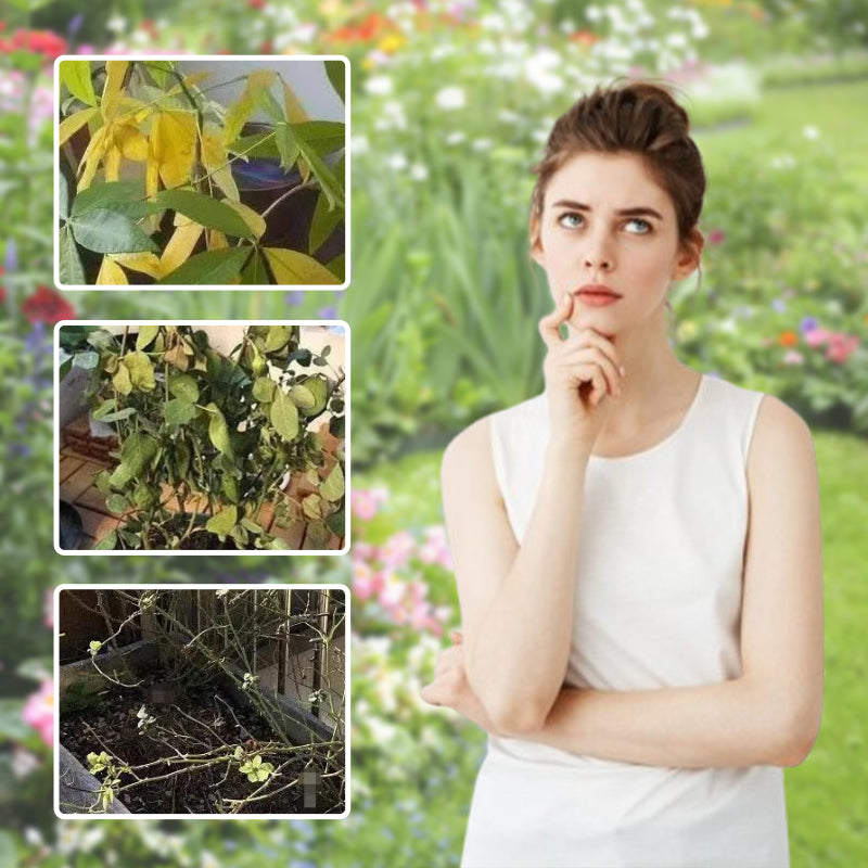 Universal Plant ＆ Flower Activation Liquid Solution（50% OFF）