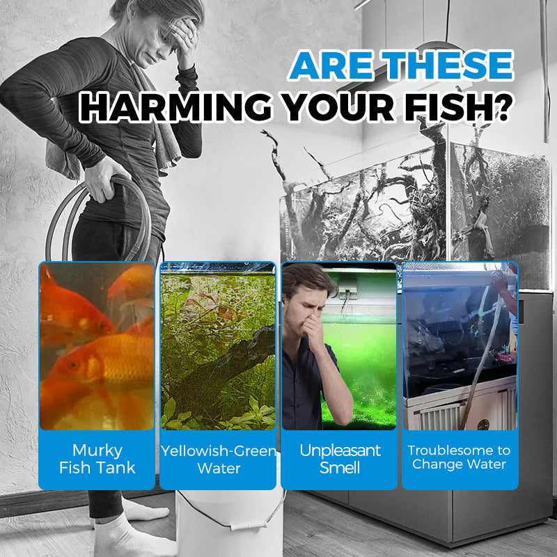 🔥Limited-time 50% off🎁Automatic Aquarium Filter System