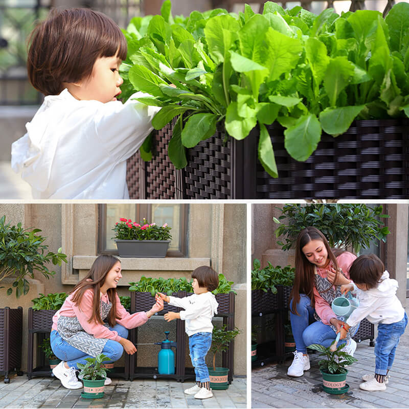 Multifunctional Vegetable Planting Box（Free Shipping）