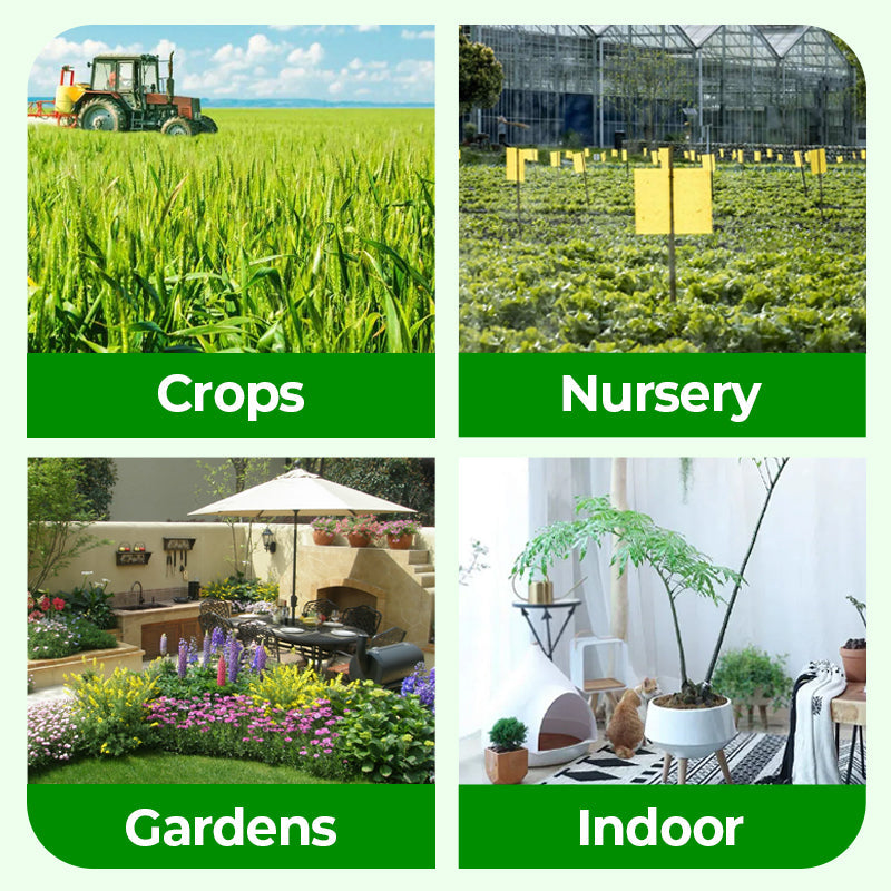 🎁 Hot Sale 50% OFF 🔥All Purpose Concentrated Liquid Fertilizer