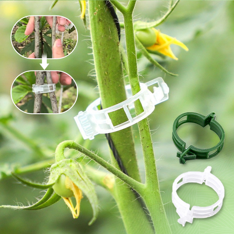 🥳2026 HOT SALE🥳💞100K+ SOLD!✨ 💝Secured Plastic Plant Clips