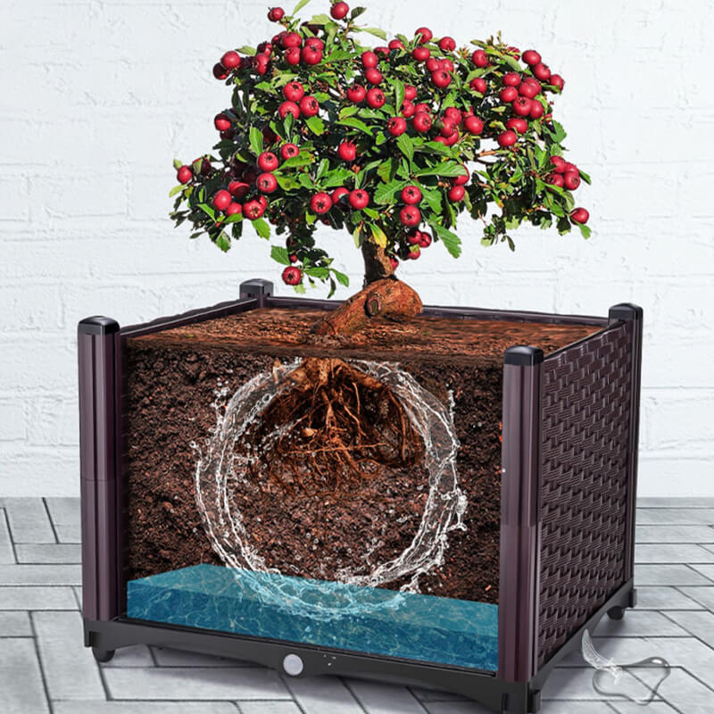 Multifunctional Vegetable Planting Box（Free Shipping）