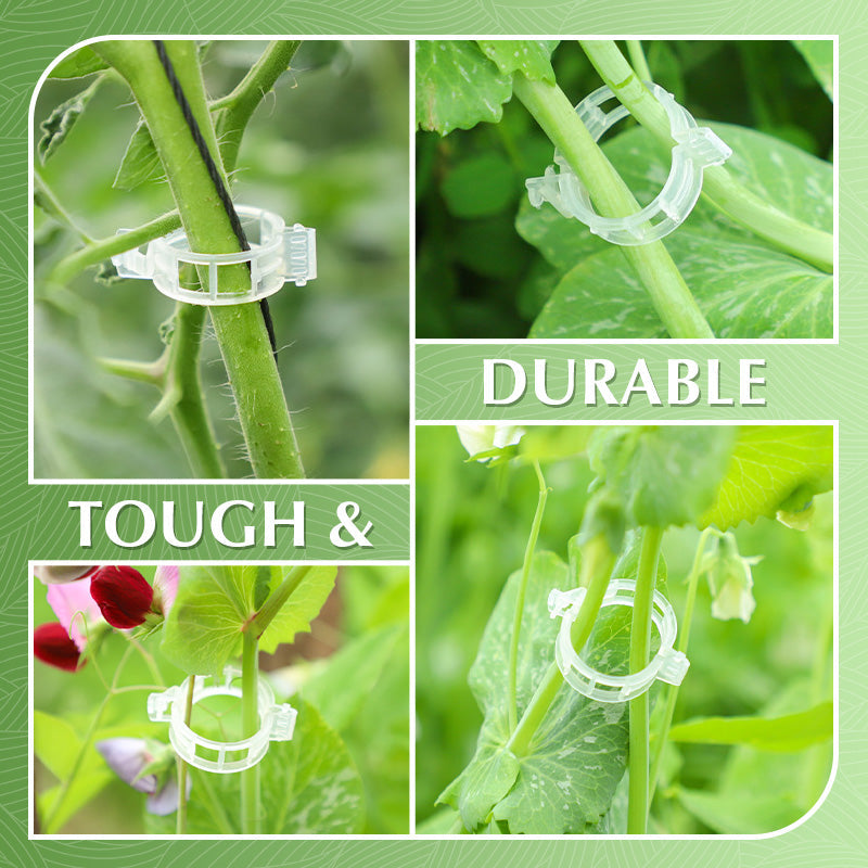 🥳2026 HOT SALE🥳💞100K+ SOLD!✨ 💝Secured Plastic Plant Clips
