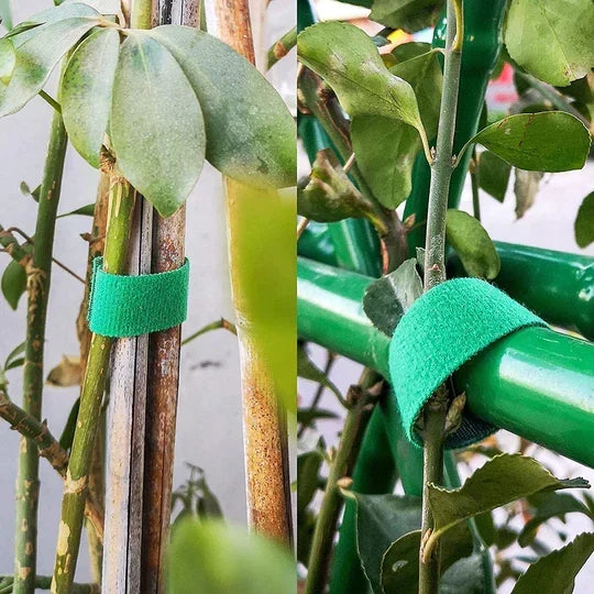 Self-Attaching Nylon Cable Ties（50% OFF）
