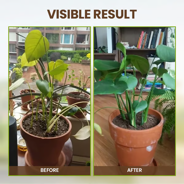 🔥Hot Sale🔥Soil Improvement Loosening Agent（50% OFF）