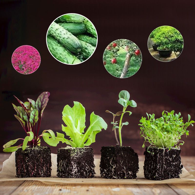 Pousbo® Soil Loosening Essence Soil Activator（50% OFF）