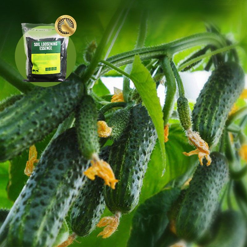 Pousbo® Soil Loosening Essence Soil Activator（50% OFF）
