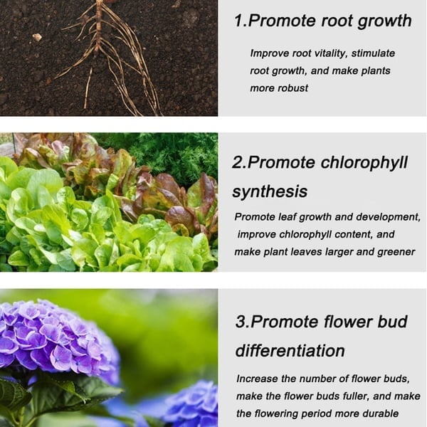 🔥2025 Hot Sale 50%OFF 🌞Home Gardening Universal Slow-Release Tablet Organic Fertilizer