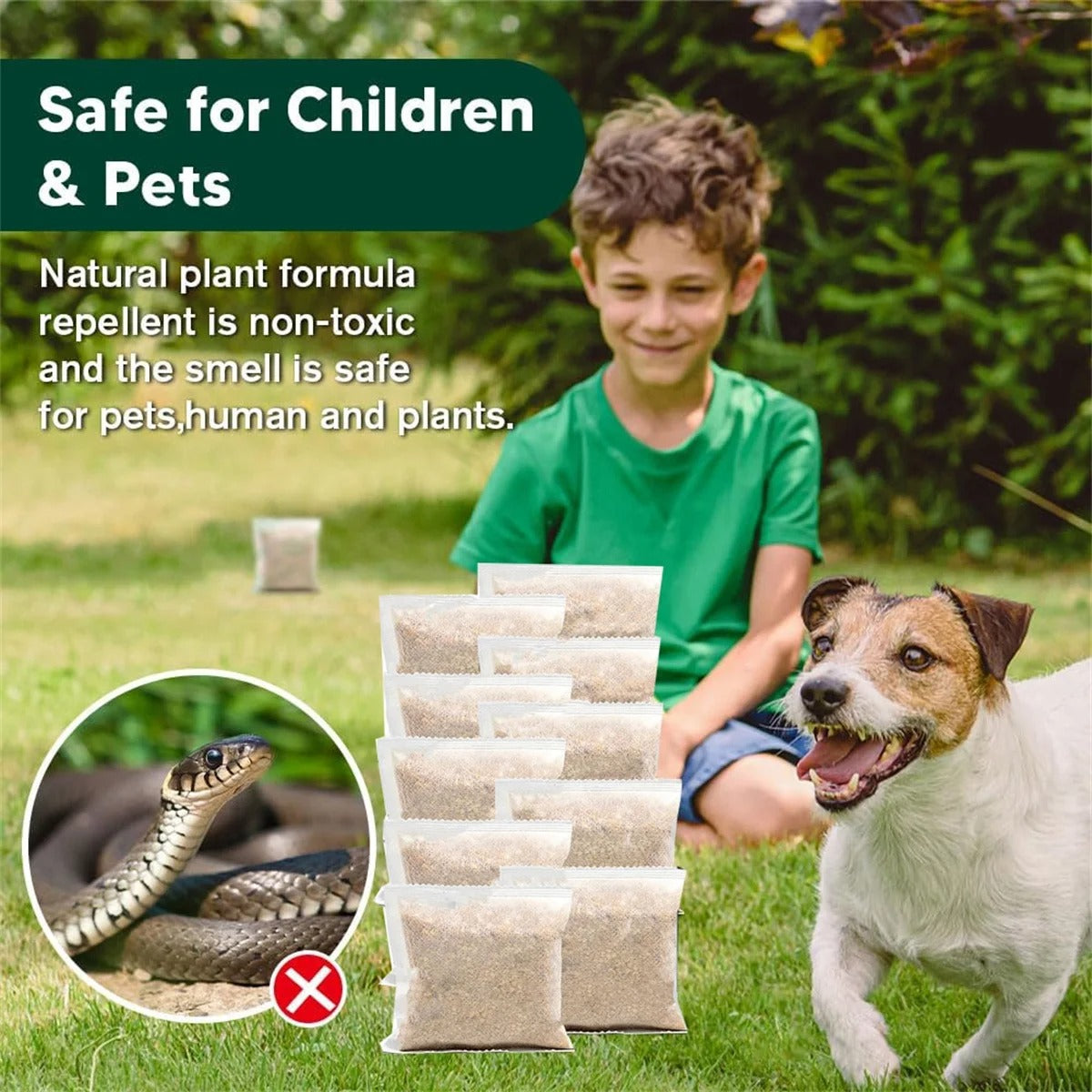🔥Limited-time 50% off✨Snakes & Lizards Repellent Pouches（10 small packets/packet）