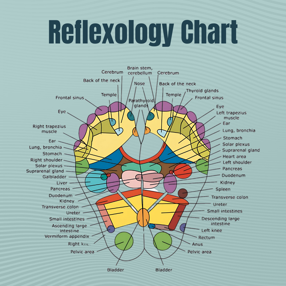 🔥Limited-time 50% off🎁  ReflexTherapy Socks