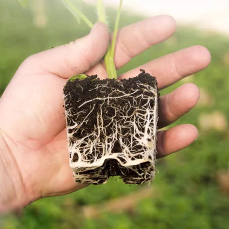 🌱Universal Plants Nutrient Granules Controlled Release Fertilizer