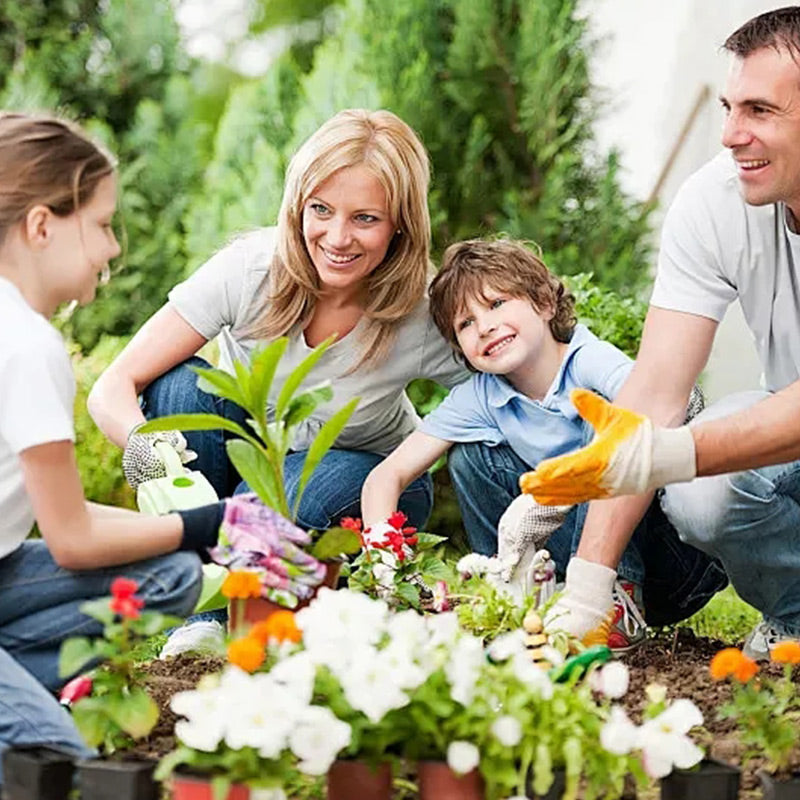 🌱Universal Plants Nutrient Granules Controlled Release Fertilizer