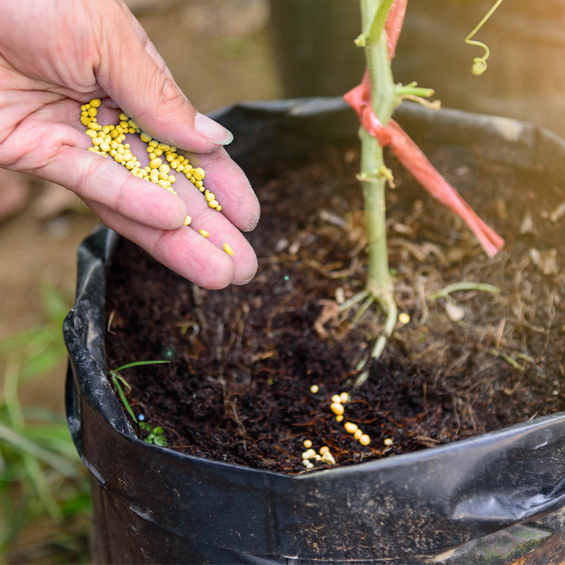 🌱Universal Plants Nutrient Granules Controlled Release Fertilizer