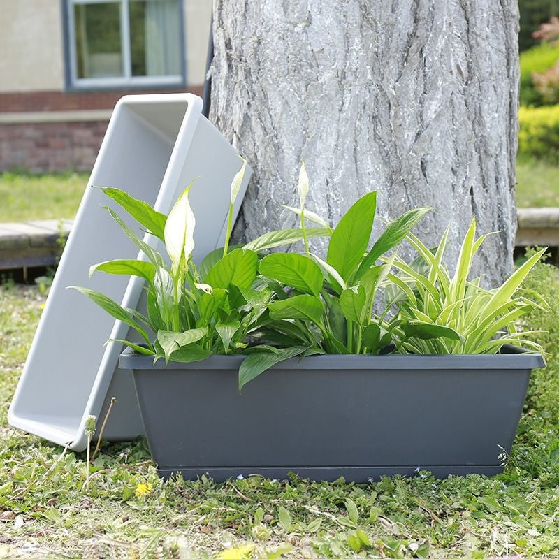 🌼Hot Sale 50% OFF🌼Rectangular Lazy Plastic Flower Pot, Suitable For Home Balcony