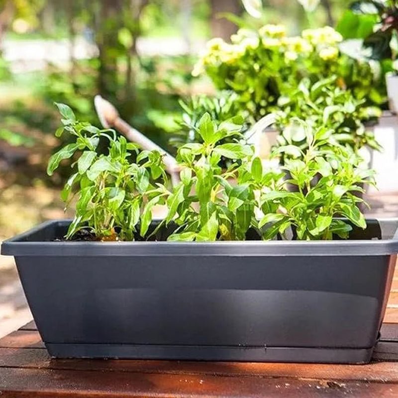 🌼Hot Sale 50% OFF🌼Rectangular Lazy Plastic Flower Pot, Suitable For Home Balcony