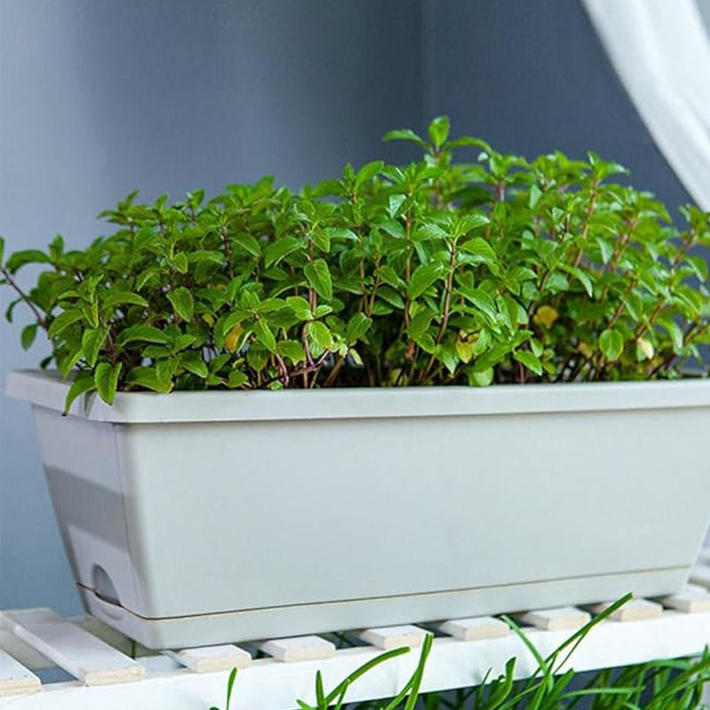 🌼Hot Sale 50% OFF🌼Rectangular Lazy Plastic Flower Pot, Suitable For Home Balcony