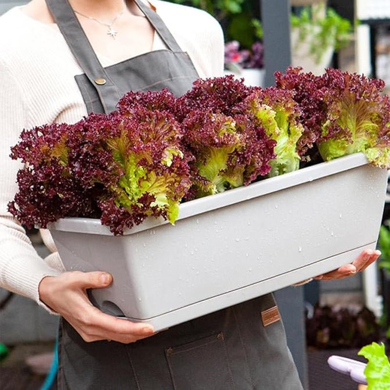 🌼Hot Sale 50% OFF🌼Rectangular Lazy Plastic Flower Pot, Suitable For Home Balcony