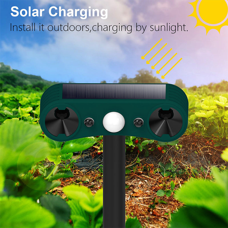 🔥Hot Sale $36.99🔥Solar Motion Sensor Outdoor Animal for Repelling（50% OFF）
