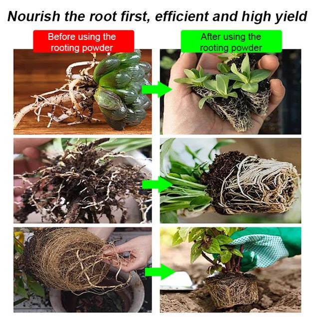 🔥Hot Sales🎉Strong Rooting Powder Microbial Fertilizer（50% OFF）