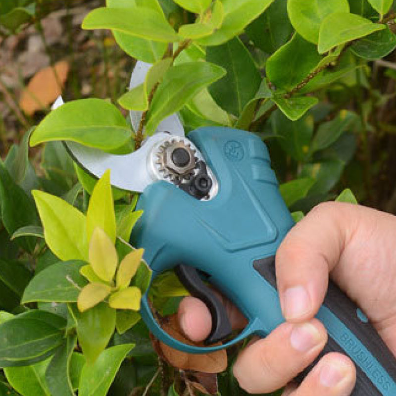 📢50% off!✂️Electric Pruning Shears