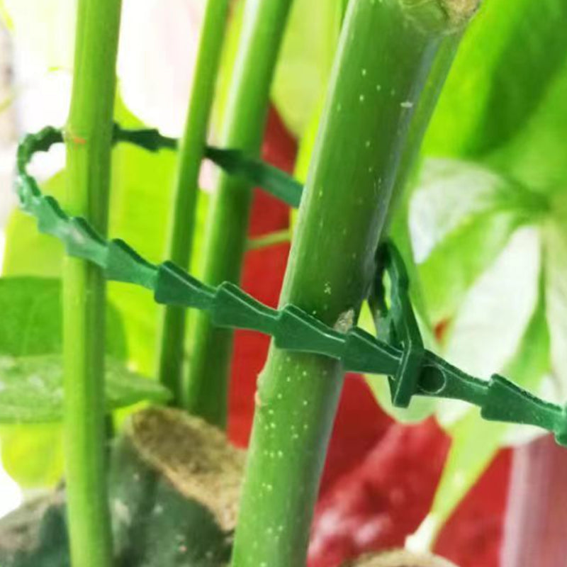 Garden Multi-Function Adjustable Flexible Plant Ties（50% OFF）