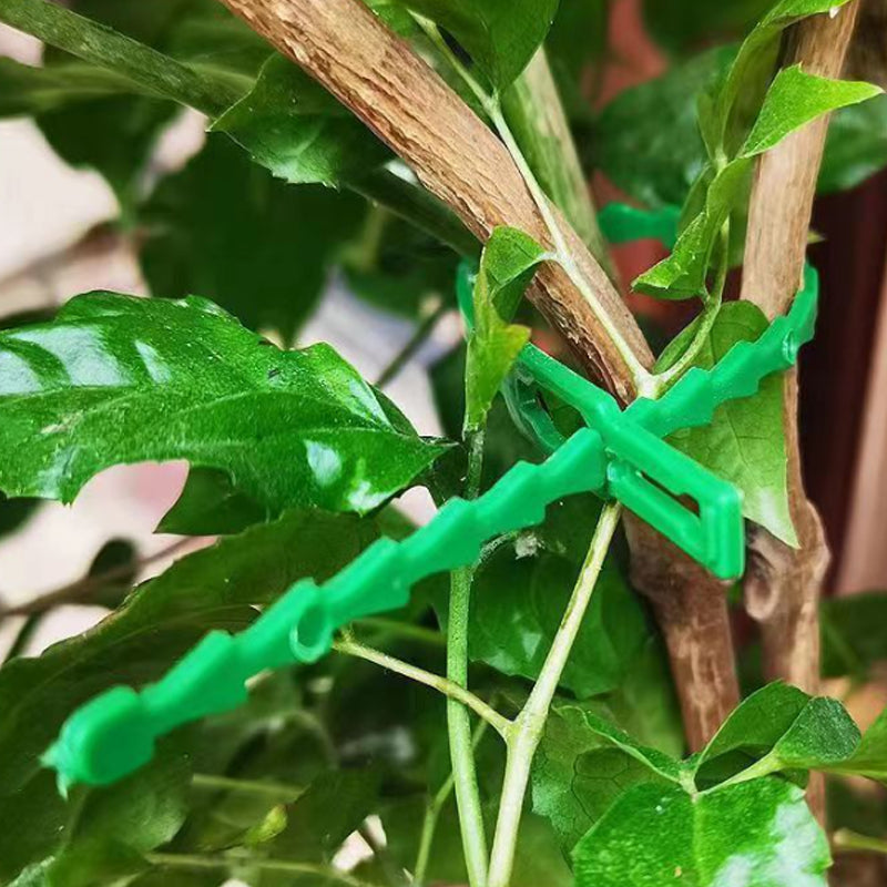 Garden Multi-Function Adjustable Flexible Plant Ties（50% OFF）