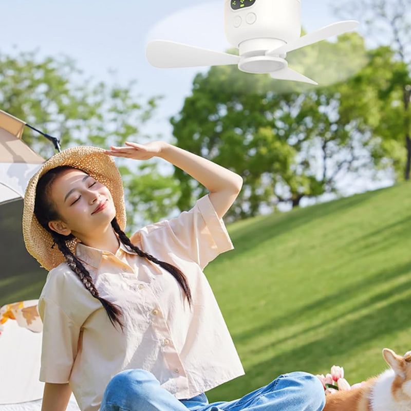 ⏰ Limited-time offer: 50% OFF a rechargeable ceiling fan with LED lights! 🌬️✨