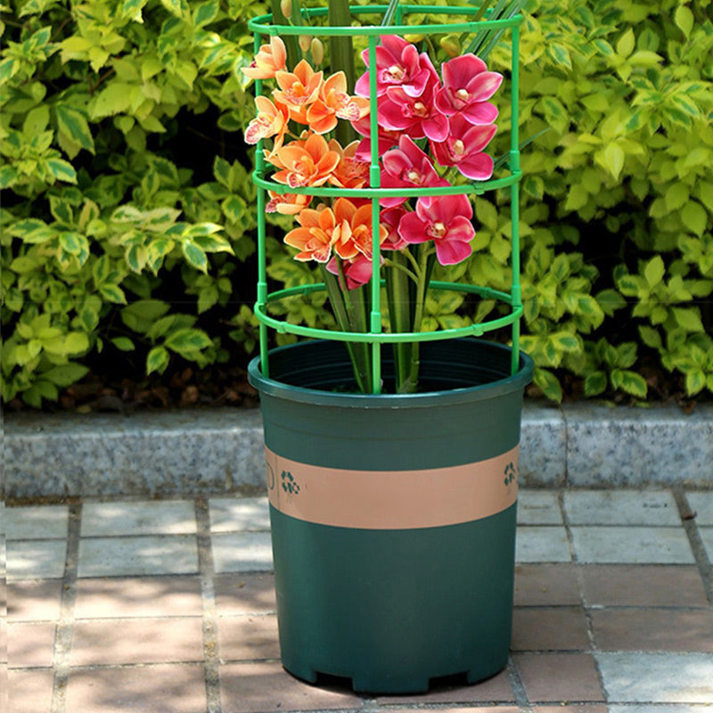 🔥Time-Limited Special🔥Detachable Plant Frame Support Stakes for Flowers and Fruits