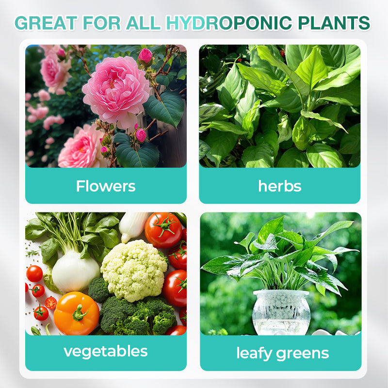 Hydroponic Nutrient Solution For Plant Growth