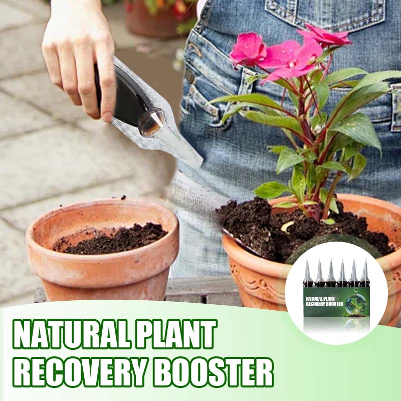 Natural Plant Recovery Booster With Essential Nutrients (50% OFF)