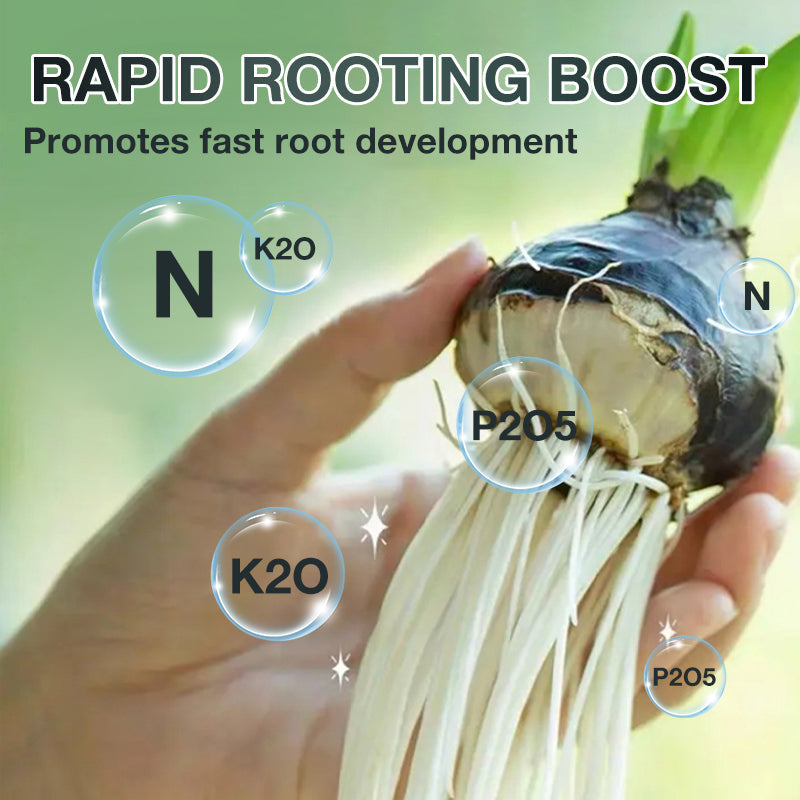 Hydroponic Plant Nutrient Solution（50% OFF）