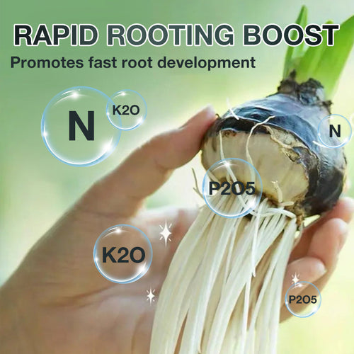 Hydroponic Plant Nutrient Solution（50% OFF）
