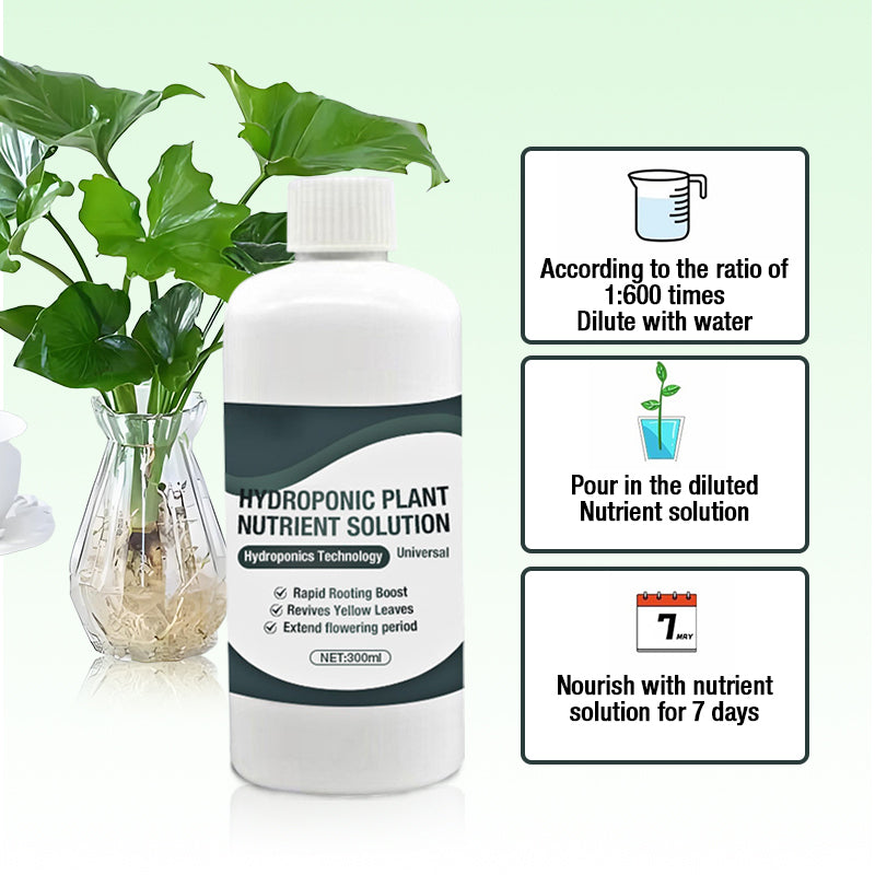 Hydroponic Plant Nutrient Solution（50% OFF）