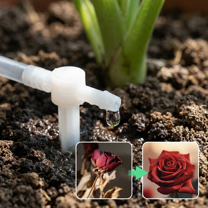 Solar Powered Automatic Drip Irrigation System
