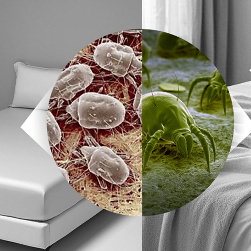 🔥Hot Sale🔥14kPa Dual-Cup UV Vacuum for Bed – Deep Clean Mattress, Sofa & Carpet, HEPA Filtration 🛋️