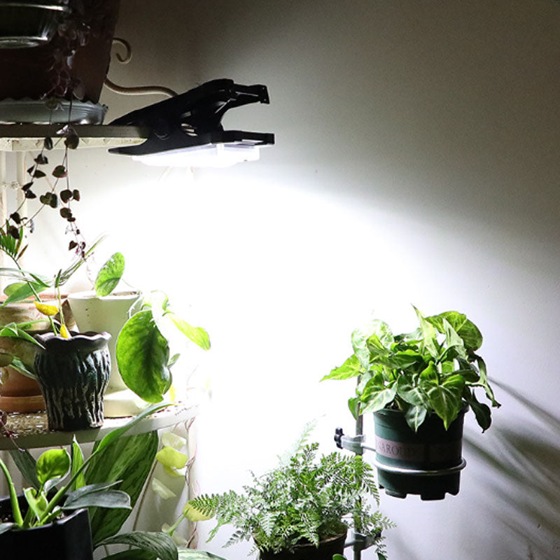 🌞 NEW ARRIVAL – 50% OFF! Solar Outdoor Clip Lights with Motion Sensor – Clip Anywhere, Light Up Instantly! 💡✨