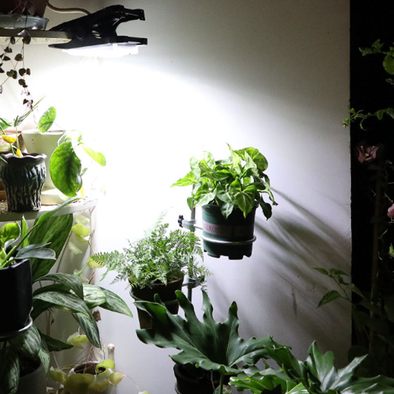 🌞 NEW ARRIVAL – 50% OFF! Solar Outdoor Clip Lights with Motion Sensor – Clip Anywhere, Light Up Instantly! 💡✨