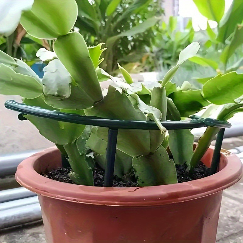Interlocking Planting Grow Rings