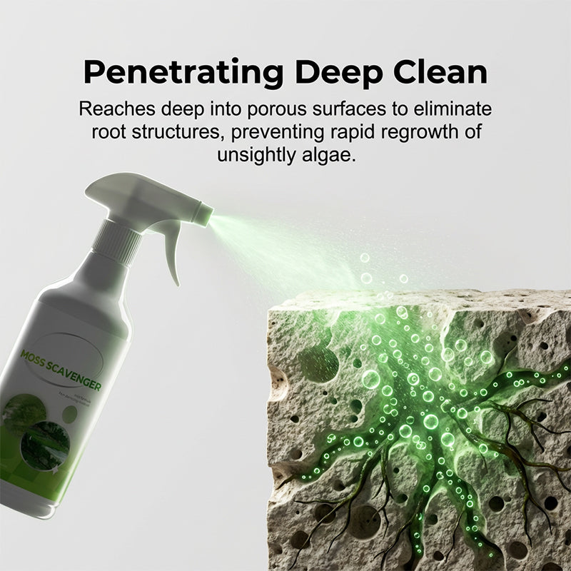 Outdoor Moss & Algae Remover Spray