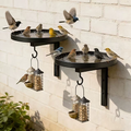 Wall-Mounted Metal Bird Bath – Antique Bronze Finish 🐦🛁🧱🏡