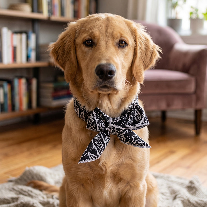 ❄️ Summer Pet Cooling Collar Wrap – Physical Cooling, Reusable, Adjustable 🌊