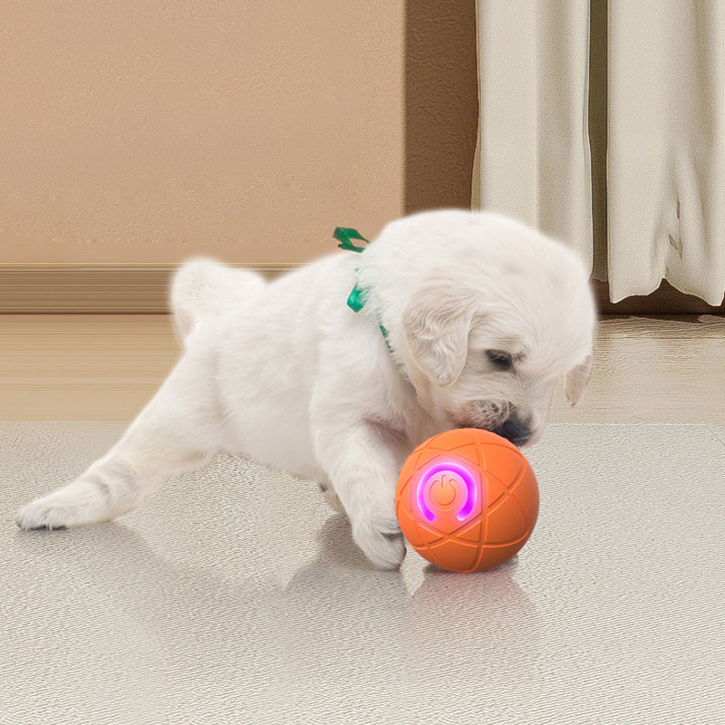🐱🐶Let the little pets no longer feel lonely-Auto Bouncing Smart Pet Ball