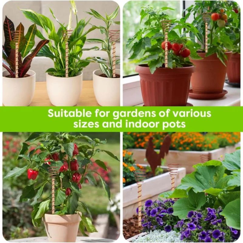 📢📢50% OFF !! ⏰Plant Support Frame